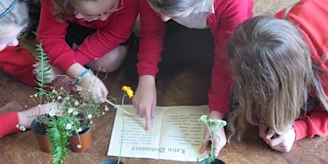 Inspiring students about plants in primary science and outdoor learning