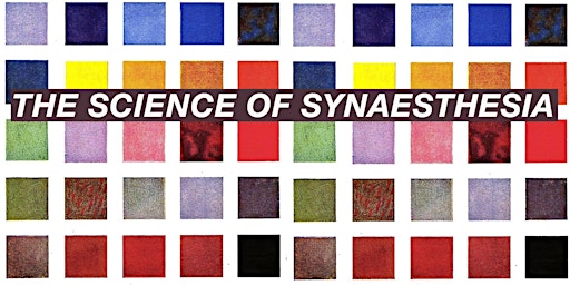 The Science of Synaesthesia, with Anna D'Errico (online)  primärbild
