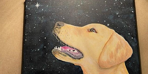 Starry Sky Paint Your Pet Night