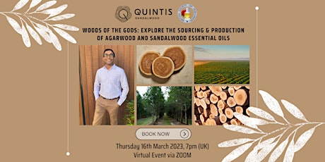 Imagen principal de Quintis & BSP: Explore the sourcing & production of Agarwood and Sandalwood