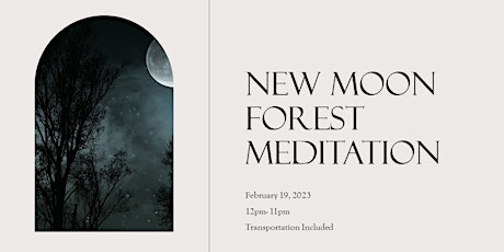 New Moon Meditation in the Forest