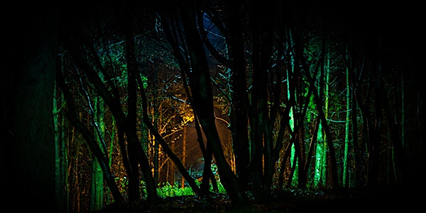 Blood in the Forest