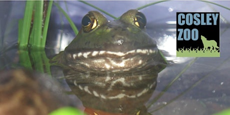 Hauptbild für FrogWatch Training (Virtual)