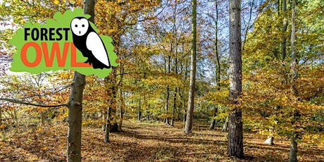 Forest Owl half term adventure - Young Adventurer - 3rd April AM primary image