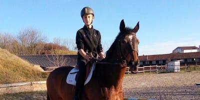Lezione di equitazione Lezione di equitazione