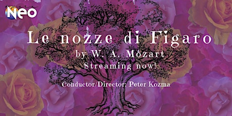 Le nozze di Figaro – Opera Neo Tenth Anniversary Season 2021 primary image