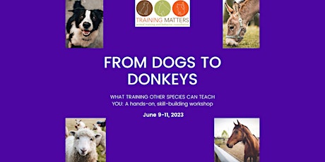 From Dogs to Donkeys: What training other species can teach you