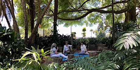 Nature Therapy  In The Wollongong Botanic Gardens (Seniors Festival)  primärbild