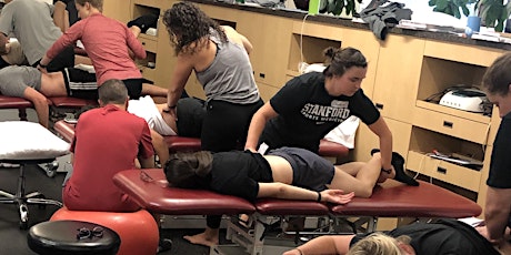 Lower Quarter Positional Release Therapy Course_Immaculata Univ. primary image