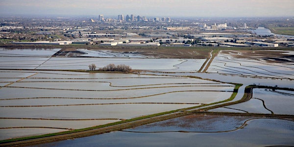 Floods, Floodplains and California Water