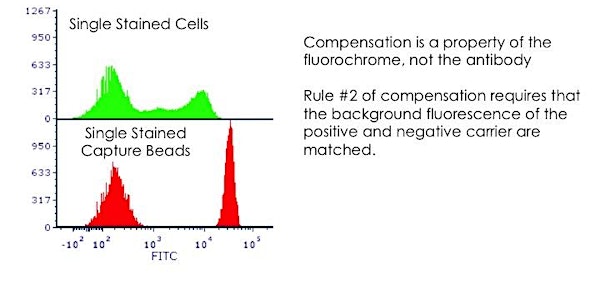 Principles of Flow Cytometry – Wroclaw, POLAND