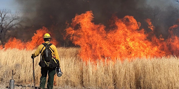Learn to Burn: Introduction to Prescribed Fire for Landowners