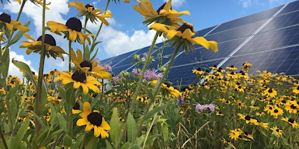 Solar that Benefits Birds & Pollinators (workshop & tour)