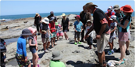 Dinosaur Discovery at Flat Rocks (Inverloch) primary image