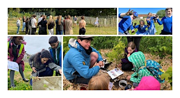 Tiny Forest in Action: Power of Citizen Science