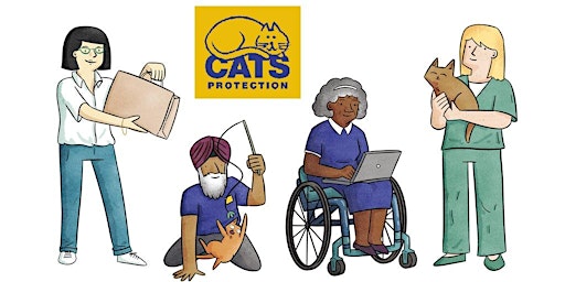 Adoption centre careers with Cats Protection: the inside scoop!