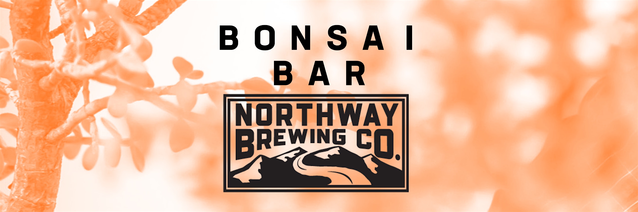 Bonsai Bar @ Northway Brewing Co.