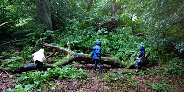 Nature Play - Greener Kirkcaldy Outdoor Kids Clubs