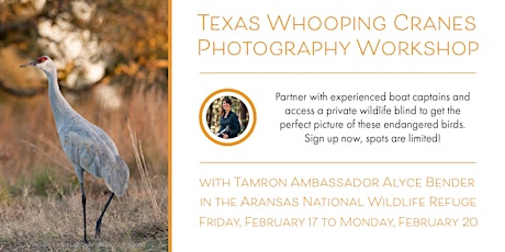 Texas Whooping Cranes Photography Workshop with Alyce Bender