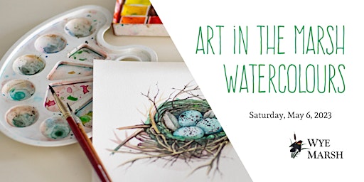 Art in the Marsh: Watercolour Painting Workshop
