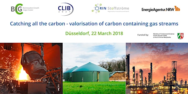 Catching all the carbon - valorisation of carbon containing gas streams