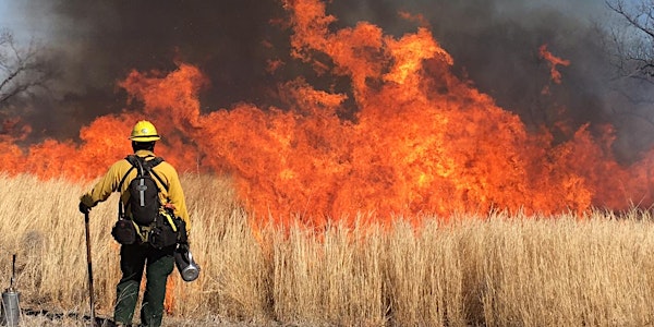 Learn to Burn: Introduction to Prescribed Fire for Landowners.