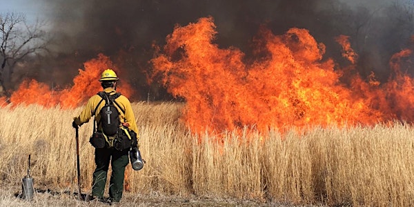 Learn to Burn: Introduction to Prescribed Fire for Landowners
