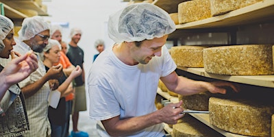 Primaire afbeelding van Gunn's Hill Cheese Plant Tour and Tasting