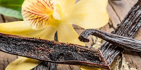 Platicas y Pruebas: All About Vanilla