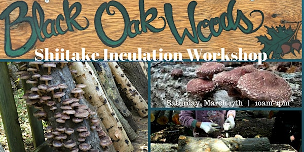 Shiitake Inoculation Workshop