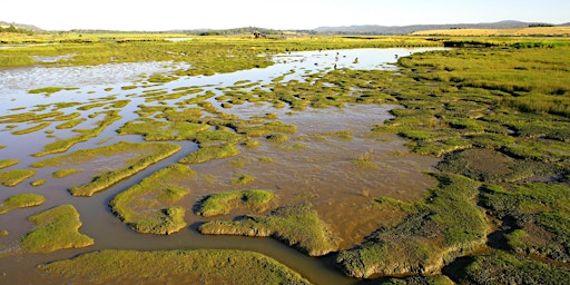 World Wetlands Day - Delve Deeper into Wetlands