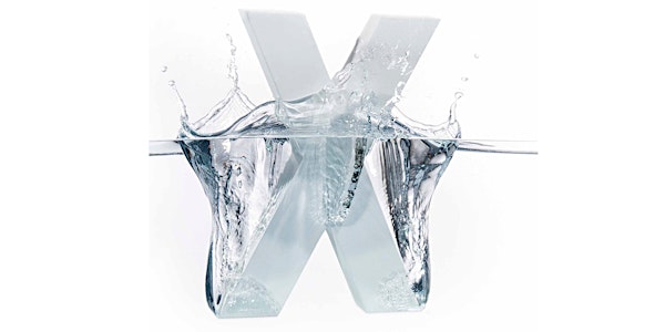 X-Festival 2018: Cross-over X-Symposium