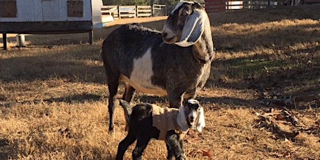 Sandhills Self Driving Farm Tour-2018 primary image