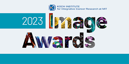 2023 Image Awards