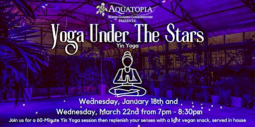 Yoga Under The Stars - Yin Yoga
