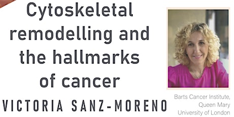 Cytoskeletal remodelling and the hallmarks of cancer