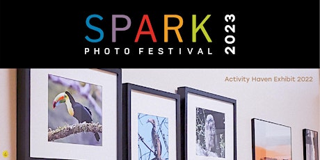SPARK First-Time Exhibitors Workshop Virtual Presentation