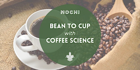 Bean to Cup with Tom Oliver of Coffee Science