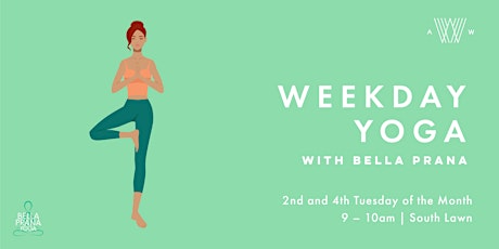 Weekday Yoga - January 24th