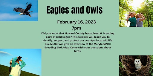 Eagles, Owls and the Bird Atlas