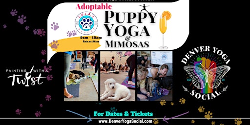 Adoptable Puppy Yoga & Mimosas at Painting with a Twist