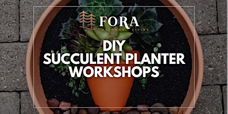 DIY Succulent Planter Workshop (Norwich Ontario)
