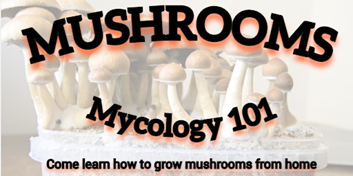 Mycology 101: Learn how to grow mushrooms at home. Success Guarantee! primary image