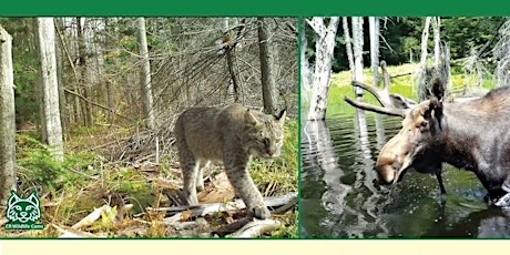 LEARN! Wildlife Connections using Trail Cameras