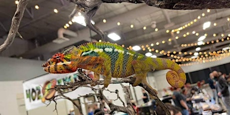 Rhode Island Reptile Expo Show Me Reptile Show