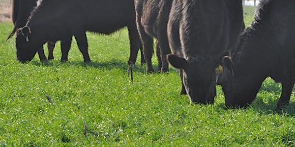 KY Grazing School