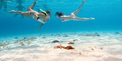 El Cielo Snorkeling Experience In Cozumel