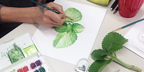 Botanical Drawing in the Greenhouse primary image