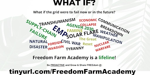Food Growing, Living Off-the-Grid, & Water Security w/ Freedom Farm Academy