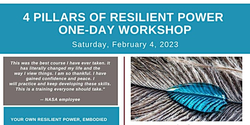 4 PILLARS OF RESILIENT POWER ONE-DAY WORKSHOP